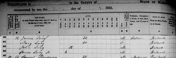 First record of my Lucey family in the U.S.